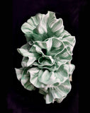 Race day crown and fascinators - Mint green coral headband - Ava at Kezani